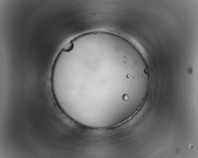 X0000103400948200809120920