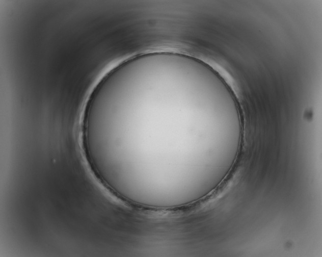 X0000103400949200809120920