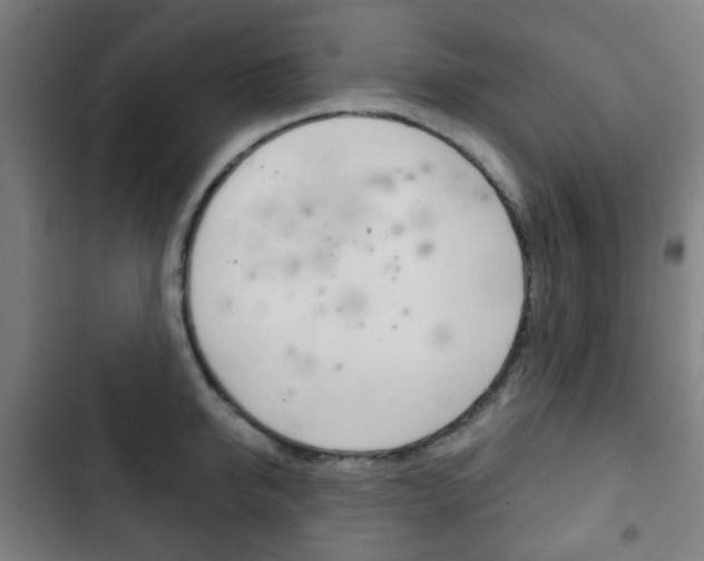 X0000103400950200809120920