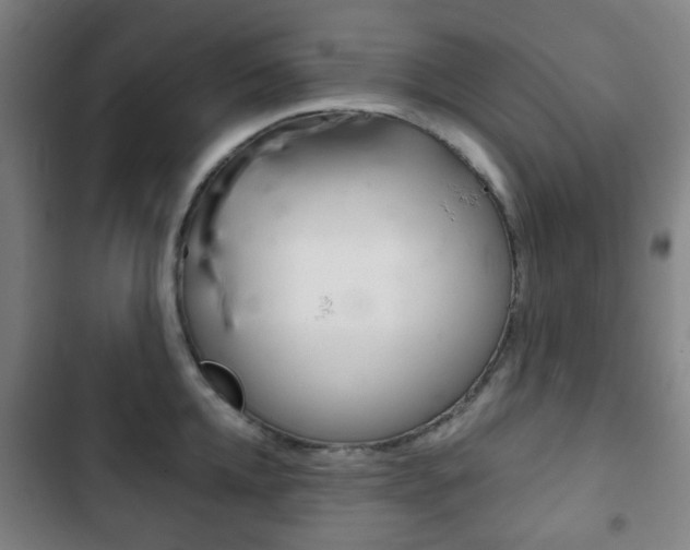 X0000103400952200809120920