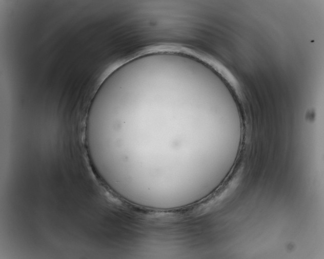 X0000103400953200809120920