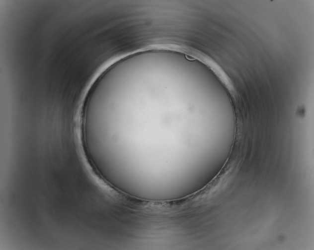 X0000103400955200809120920