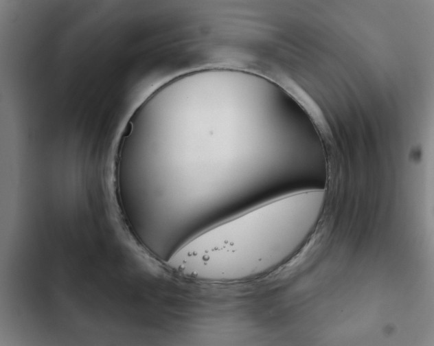 X0000103400956200809120920