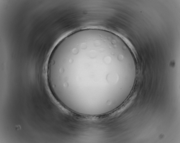 X0000103400957200809120920