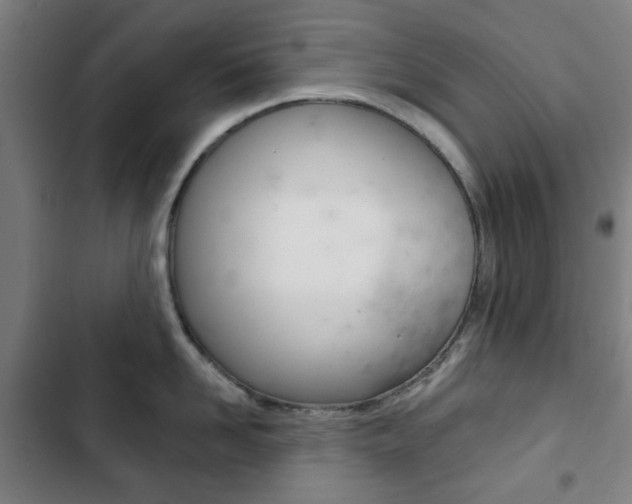 X0000103400958200809120920