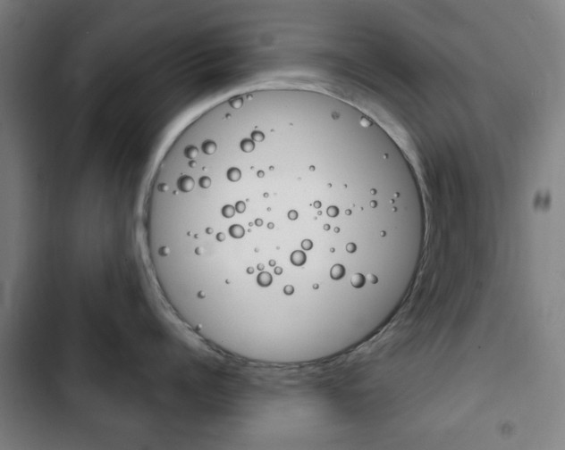 X0000103400960200809120920