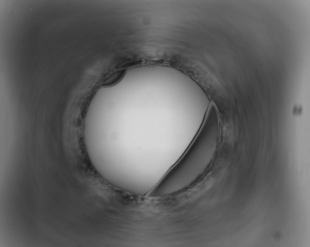 X0000103400961200809120920