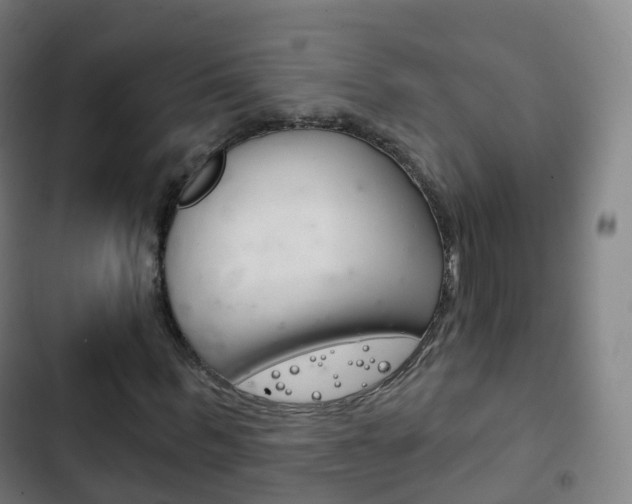 X0000103400963200809120920