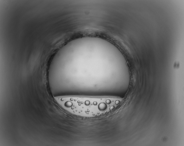 X0000103400964200809120920