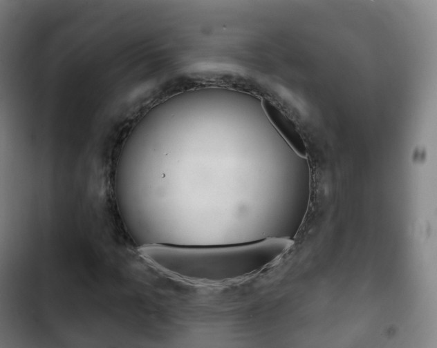 X0000103400965200809120920