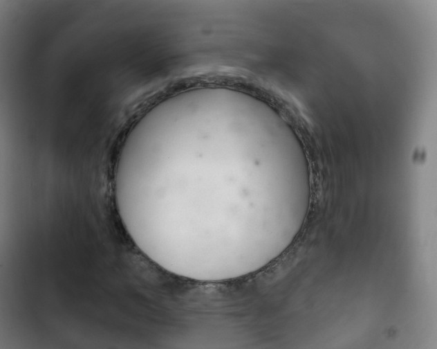 X0000103400966200809120920