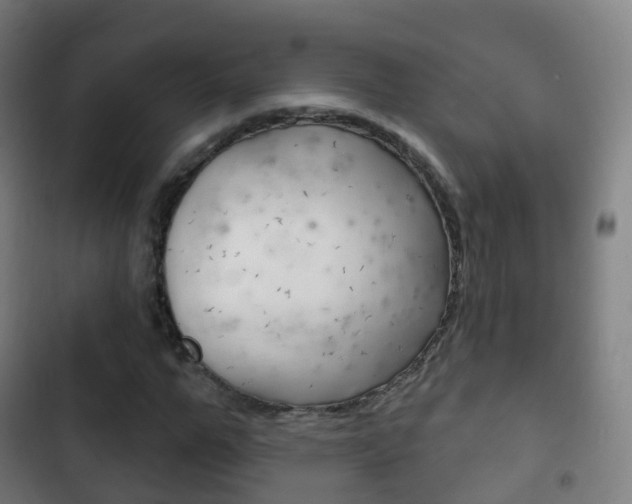 X0000103400967200809120920