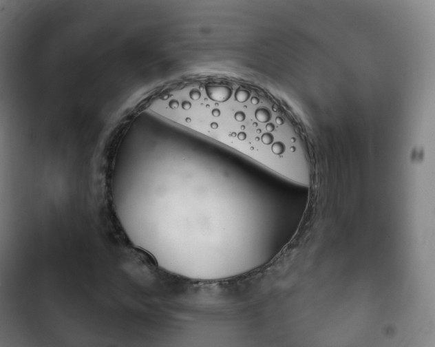 X0000103400968200809120920