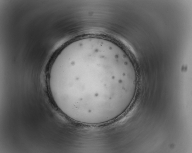 X0000103400970200809120920