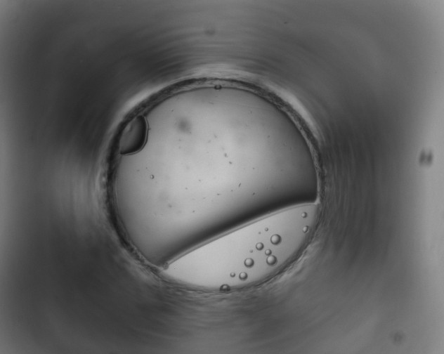 X0000103400971200809120920
