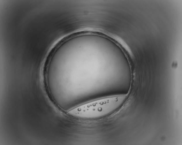 X0000103400972200809120920
