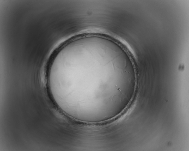 X0000103400973200809120920