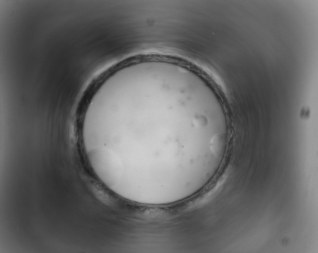X0000103400974200809120920