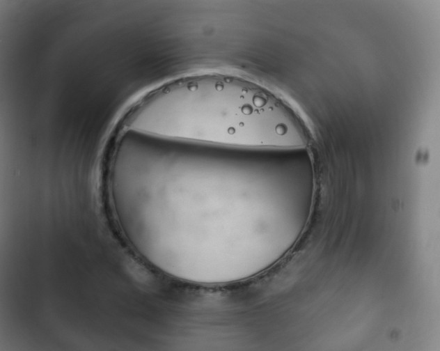 X0000103400975200809120920