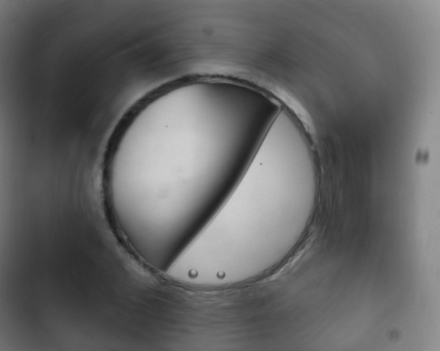 X0000103400976200809120920