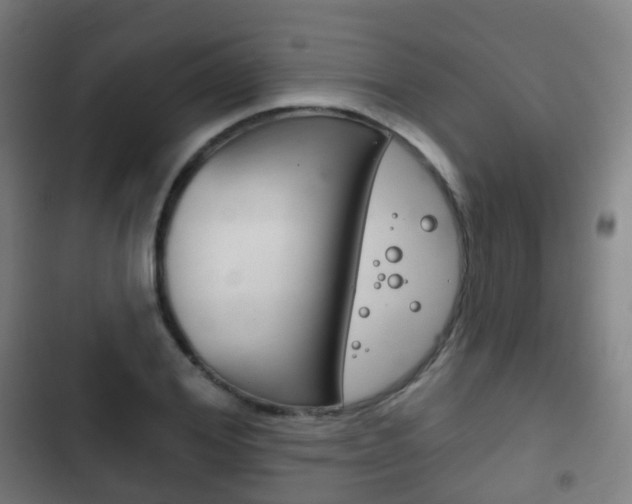 X0000103400980200809120920