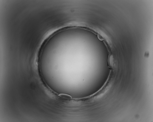 X0000103400981200809120920