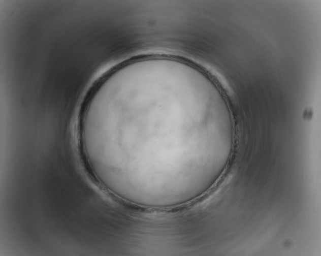 X0000103400982200809120920