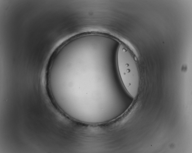X0000103400983200809120920