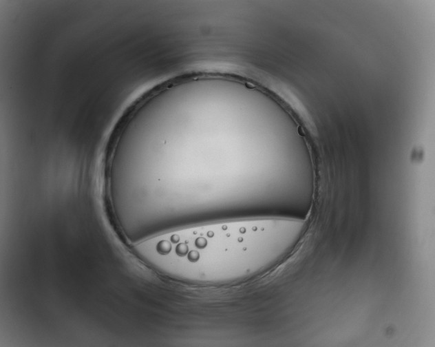 X0000103400984200809120920