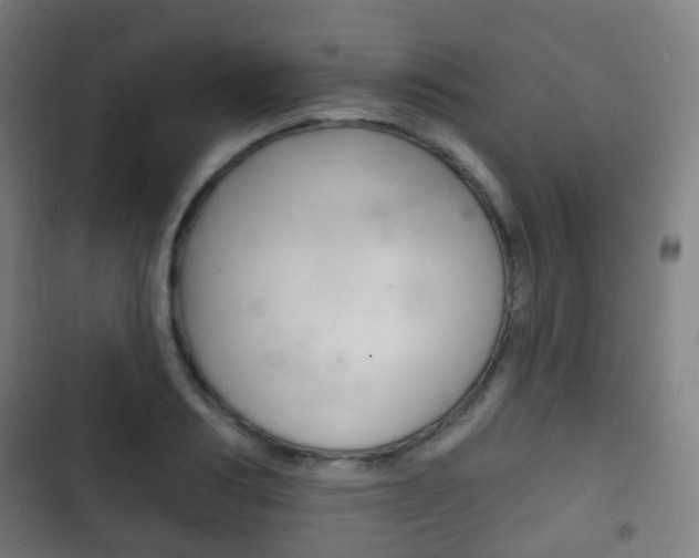 X0000103400986200809120919