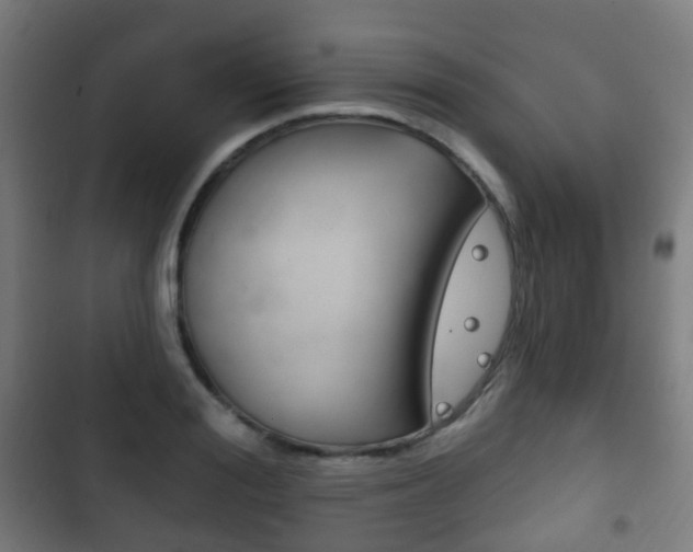 X0000103400988200809120919