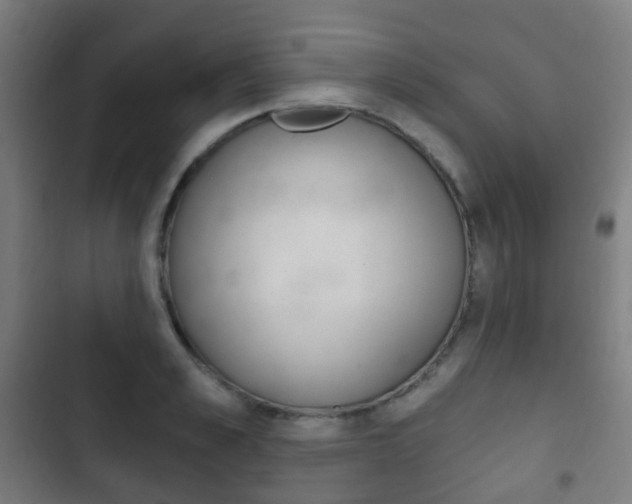 X0000103400989200809120919