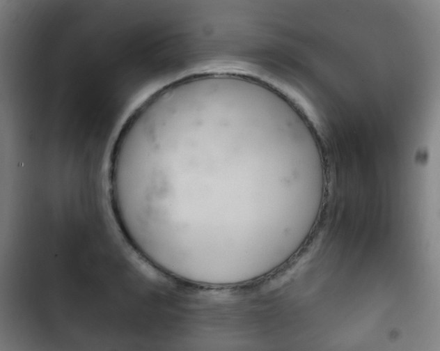 X0000103400990200809120919