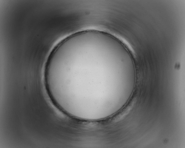 X0000103400991200809120919