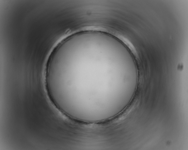 X0000103400992200809120919
