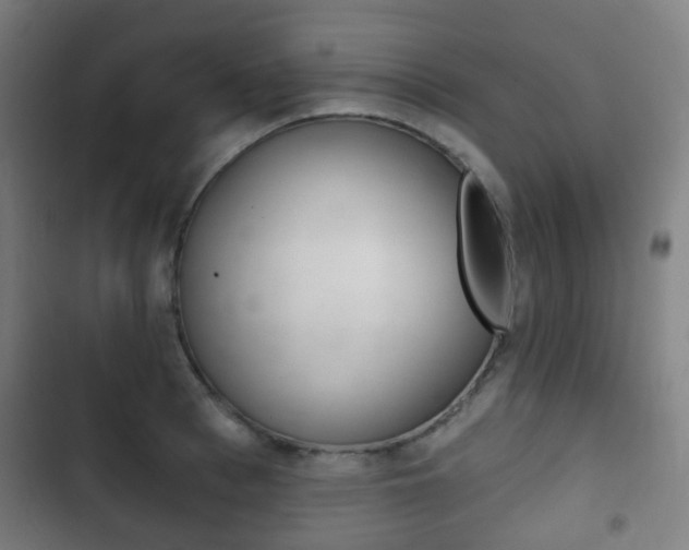 X0000103400993200809120919