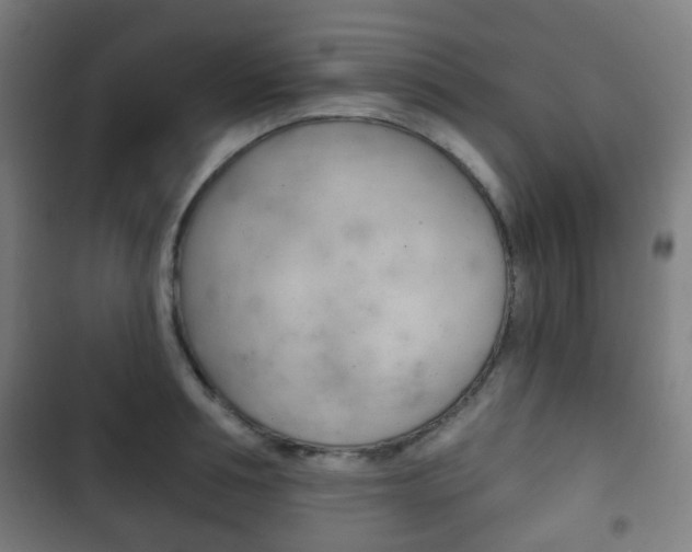 X0000103400994200809120919