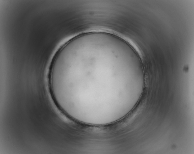X0000103400995200809120919