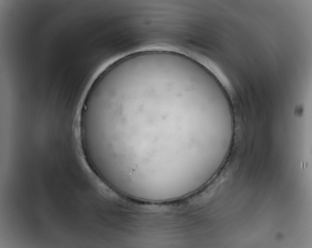 X0000103400996200809120919