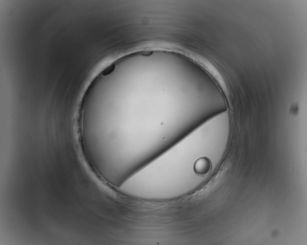 X0000103400997200809120919