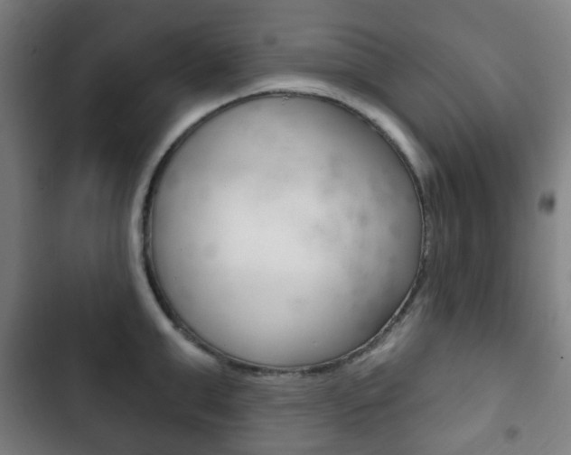 X0000103400999200809120919