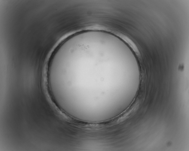 X0000103401000200809120919