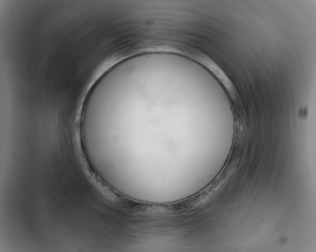 X0000103401002200809120919