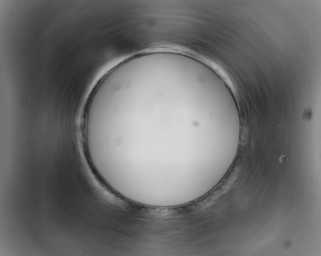 X0000103401003200809120919