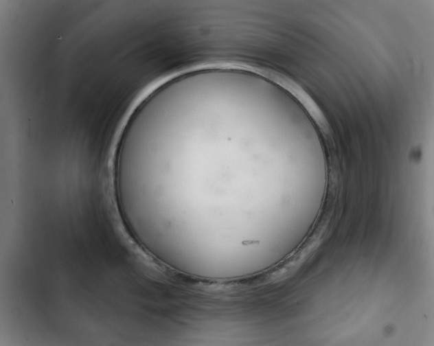 X0000103401004200809120919