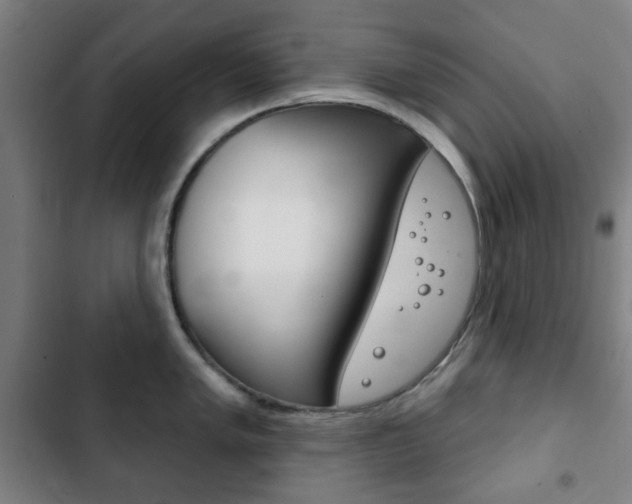 X0000103401005200809120919