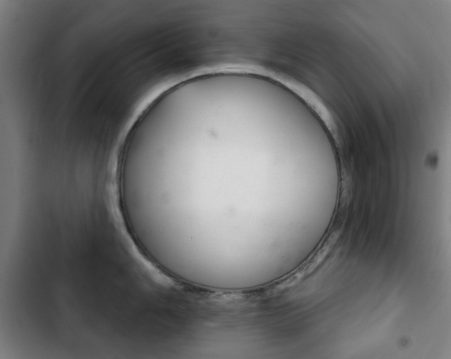 X0000103401006200809120919