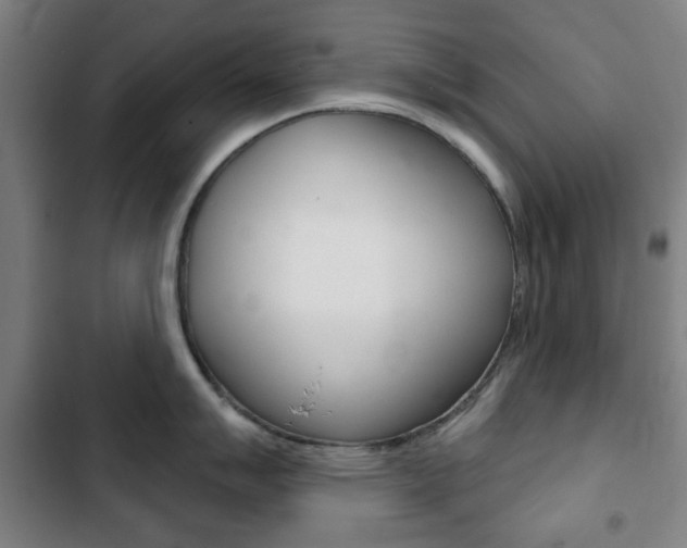 X0000103401007200809120919