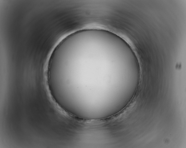 X0000103401008200809120919