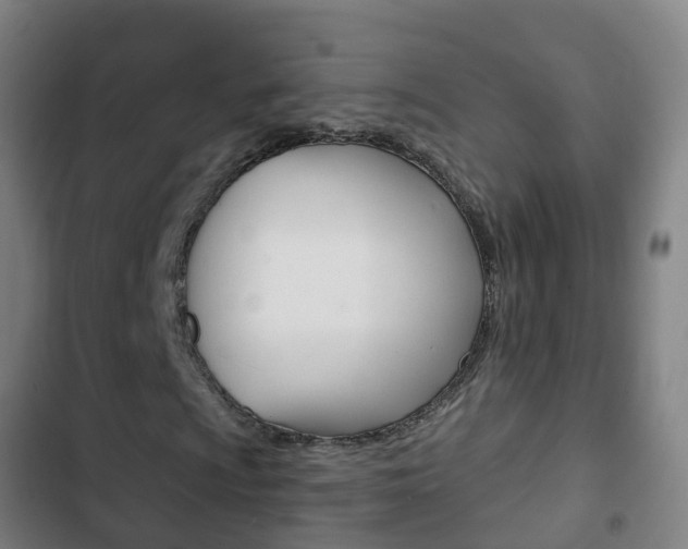 X0000103401009200809120919